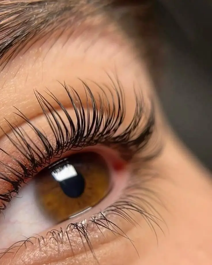 Wimpernverlängerung in der Nahaufnahme